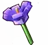 crocus
